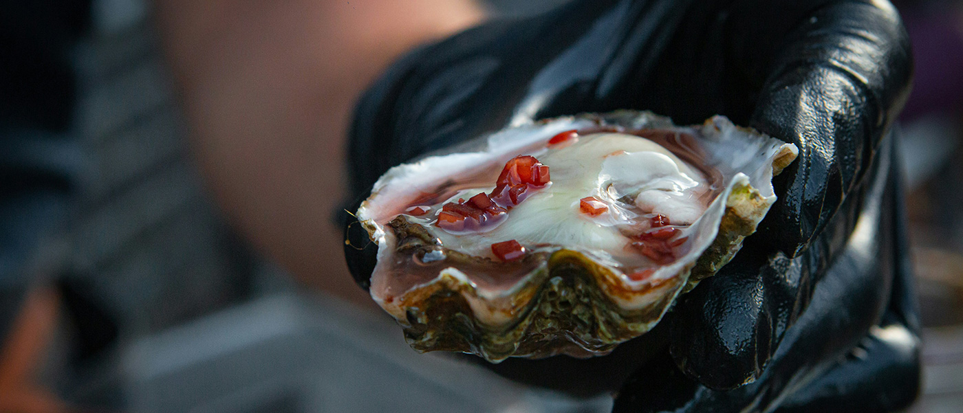 U.S. National Oyster Festival event